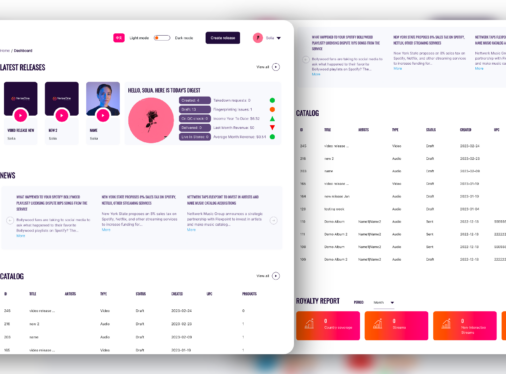 Leading music distribution platform development & company digitalization